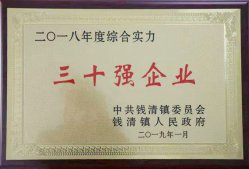 公司被錢清鎮(zhèn)黨委、鎮(zhèn)政府評(píng)為“2018年錢清鎮(zhèn)綜合實(shí)力三十強(qiáng)企業(yè)”