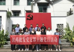 醫(yī)藥批發(fā)黨支部赴下姜村開(kāi)展主題黨日活動(dòng)
